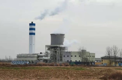 安徽長豐生(shēng)物質發電塵硫硝一(yī)體(tǐ)化(huà)治理(lǐ)項目